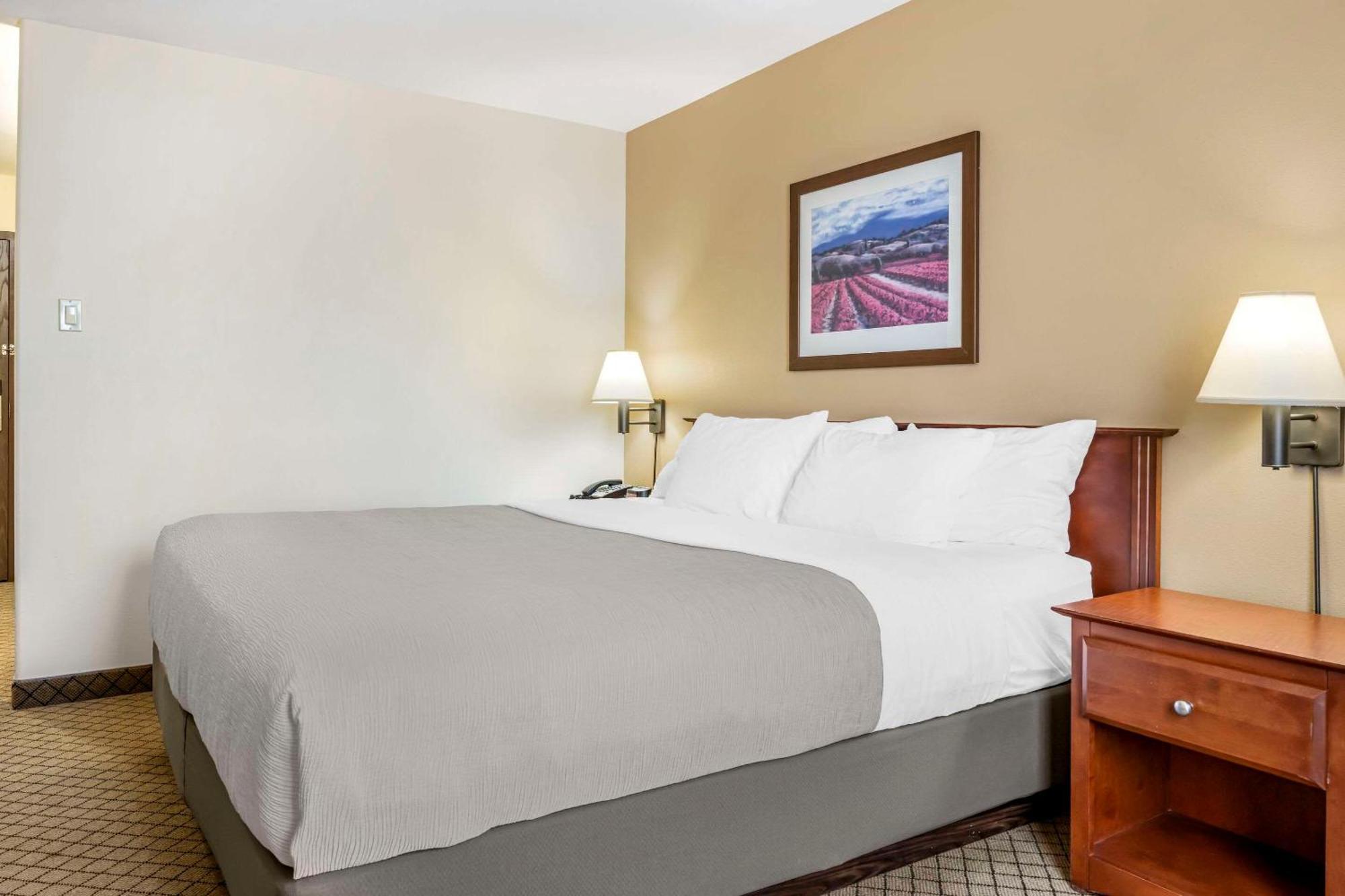 Quality Inn Airport Moncton Extérieur photo